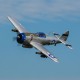 P-47D RAZORBACK 1.2M PNP