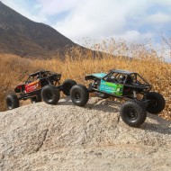 1/10 Capra 1.9 Unlimited 4WD Trail Buggy Brushed RTR, Green/Red