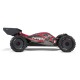 1/8 TYPHON 6S V5 4WD BLX Buggy con sistema Spektrum RTR, Black