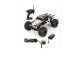 1/10 Ruckus 2WD Brushless Monster Truck RTR, Black/White by ECX