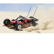 1/8 Glamis Fear Four Seat Buggy RTR by VATERRA