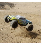 1/10 Ruckus 2WD Monster Truck RTR by ECX