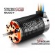 TORO X8 Buggy BL Motor Sensorless 6 Pole 9 Slot 6T, 2650KV