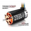 TORO X8P Buggy BL Motor Sensorless 6 Pole 18 Slot 6T, 2320KV