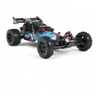 Raider 2WD Mega Brushed 1/10 RTR - 2014