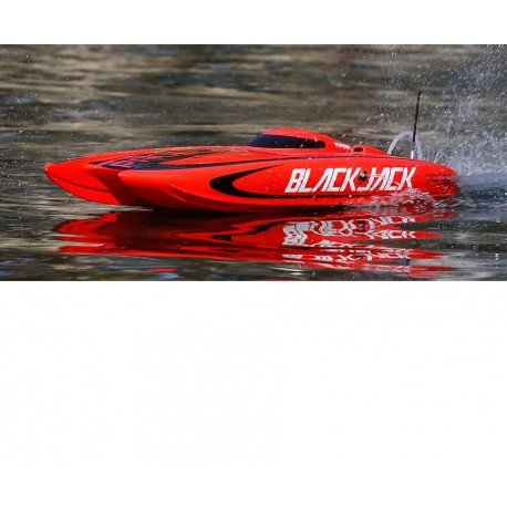 PRB08011 BLACKJACK 29 BRUSHLESS CATAMARAN RTR