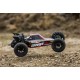 ECX AMP DT 1/10 DESERT BUGGY 