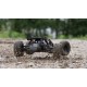 ECX AMP DT 1/10 DESERT BUGGY 